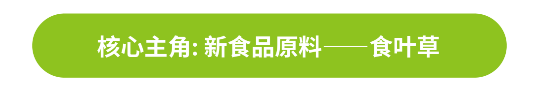 清明食青团,健康享春意 | 时令节气与健康