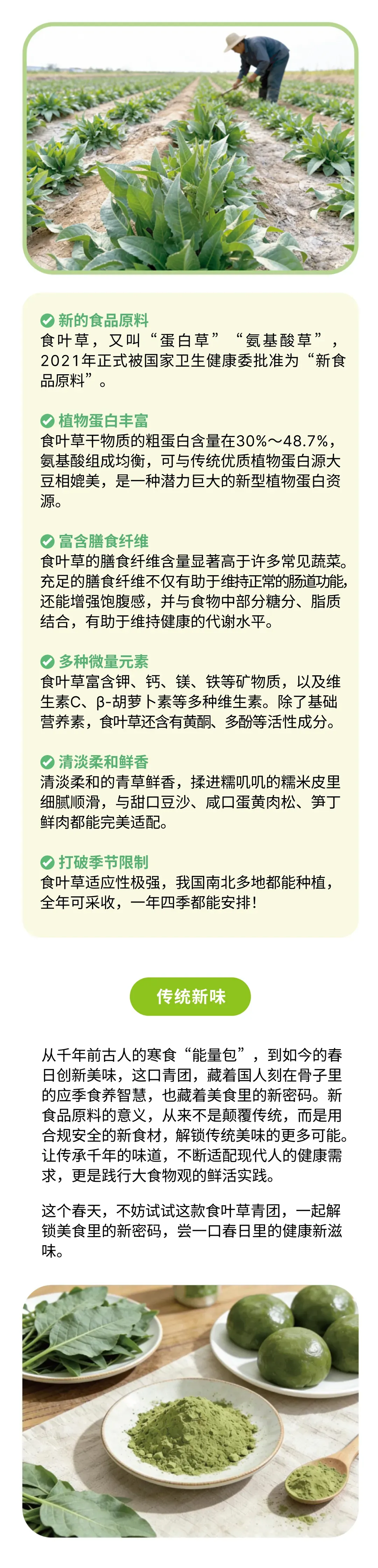 清明食青团,健康享春意 | 时令节气与健康