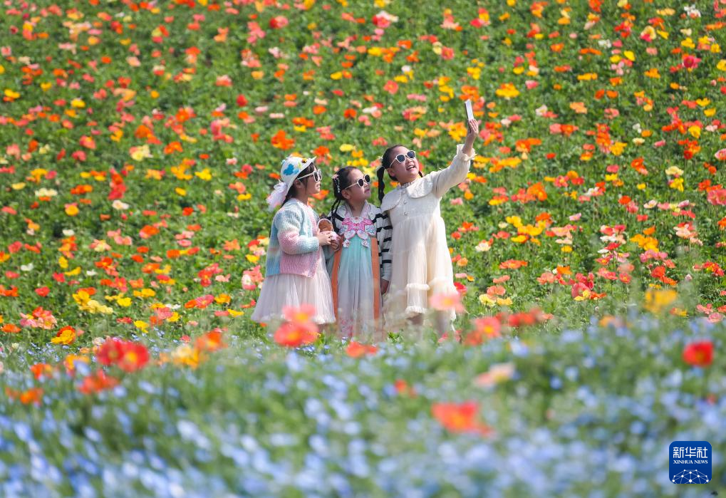 春假牵手小长假——看他们的别样假期