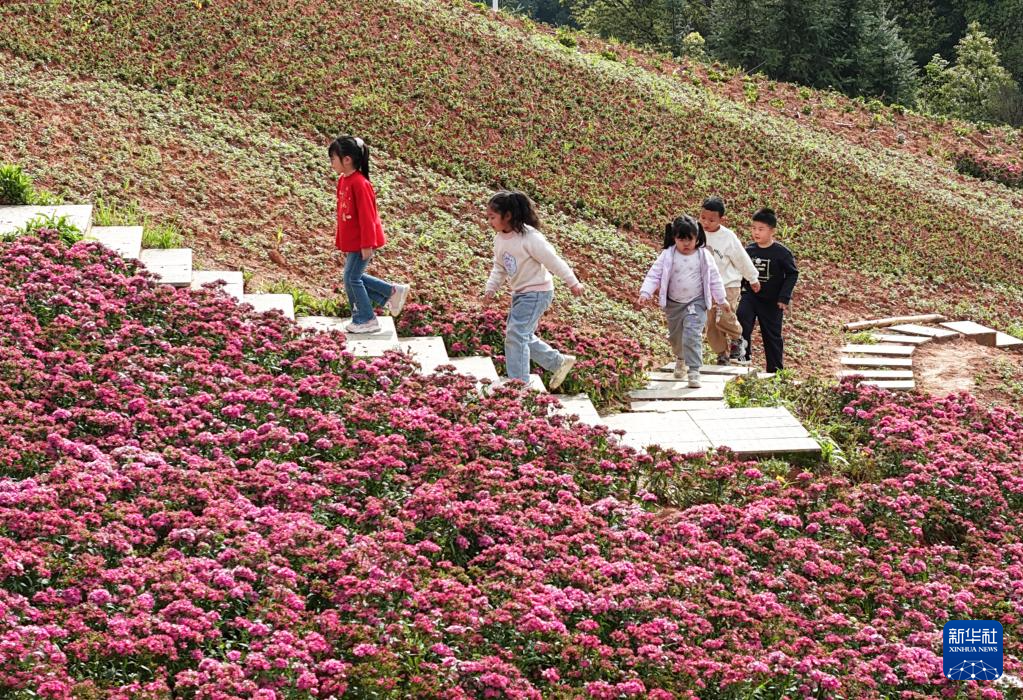 春假牵手小长假——看他们的别样假期