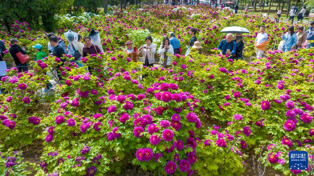 假期里的春日经济