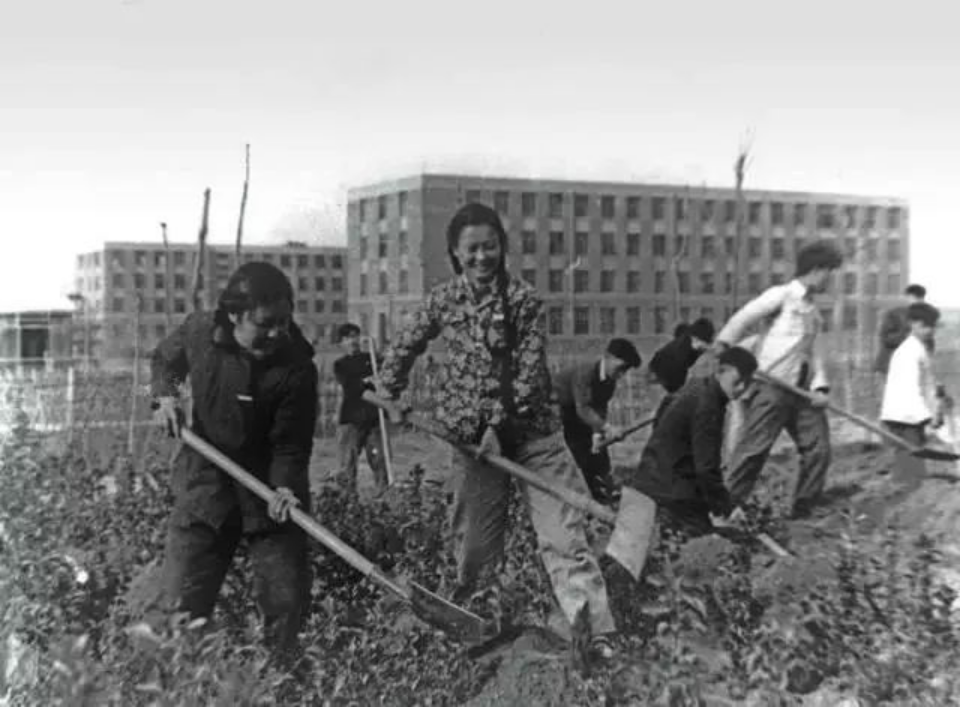 学习进行时｜根脉相连 薪火相传