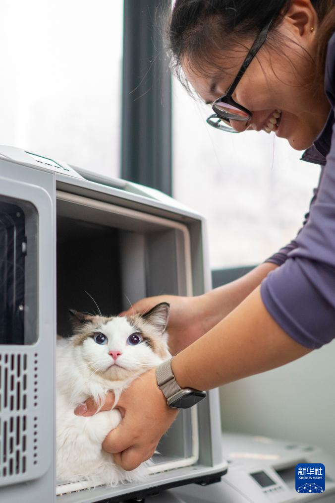 “爱宠行”服务护航萌宠旅途
