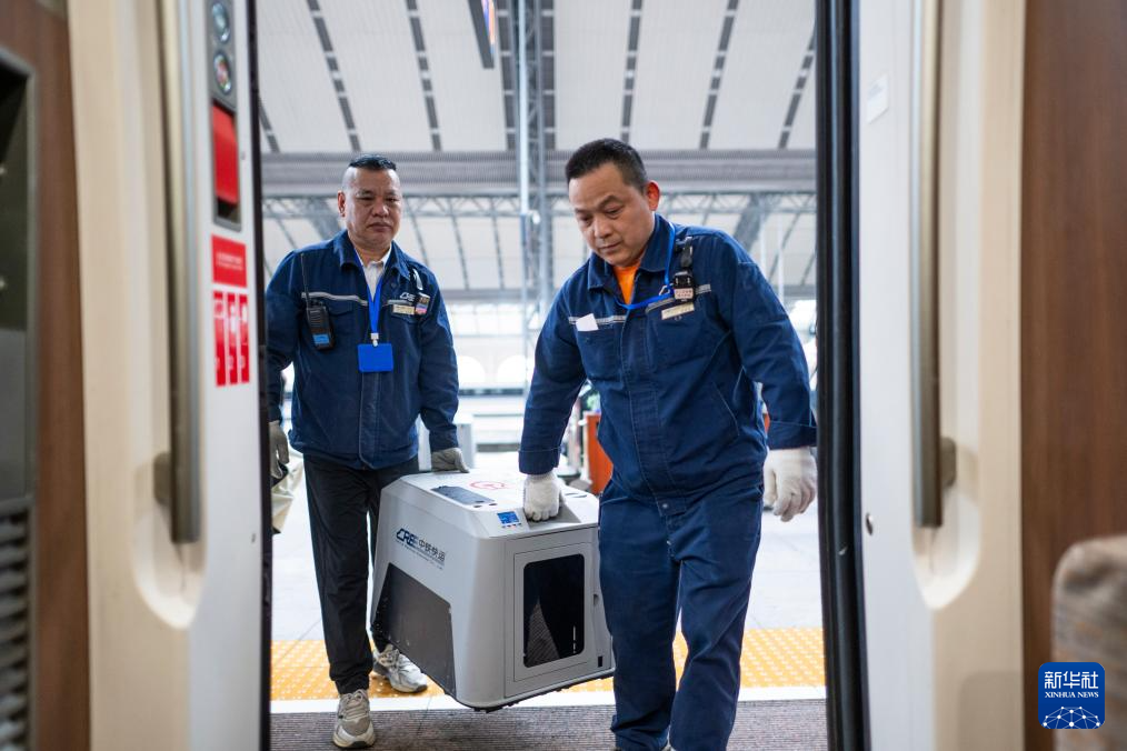 “爱宠行”服务护航萌宠旅途