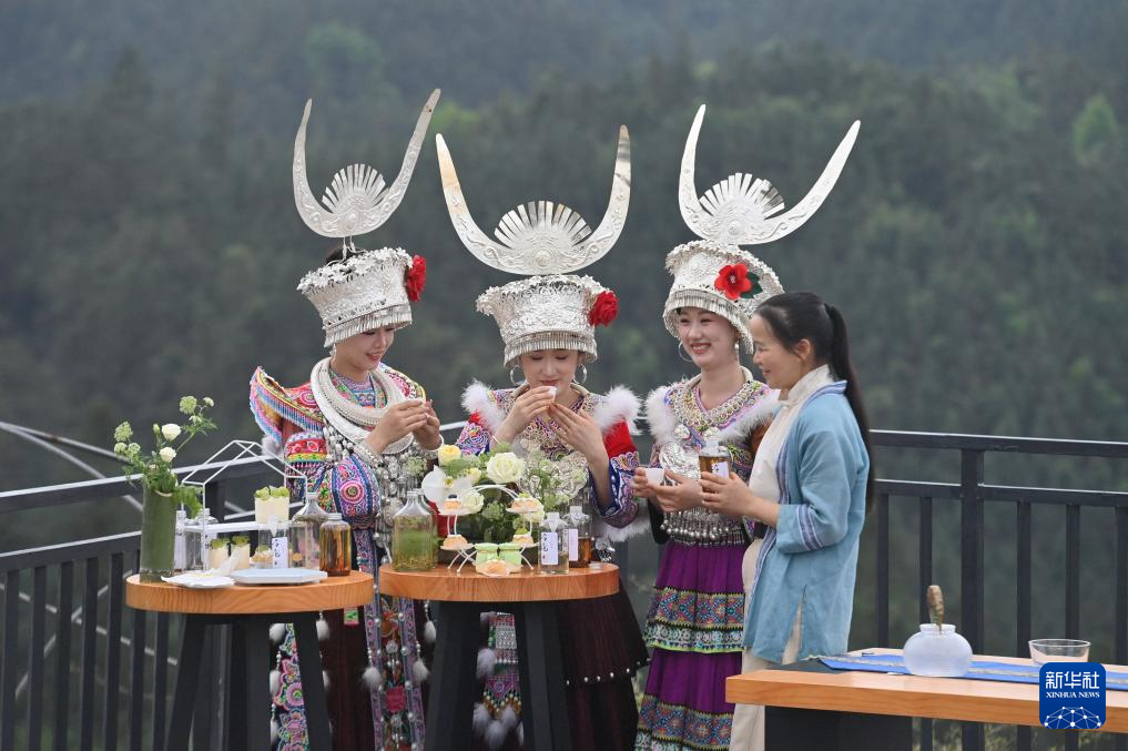 踏青品茶大苗山