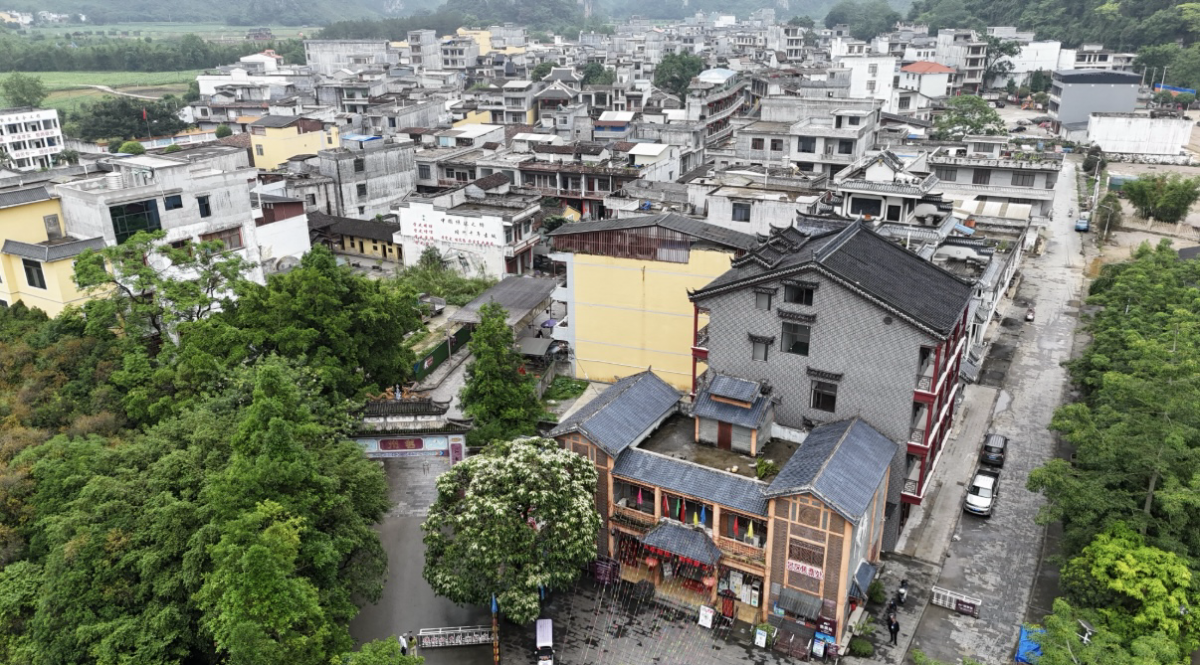 开局之年看中国丨一月只绣一枚球！84岁中华巧女慢工“堆”出广西非遗之美