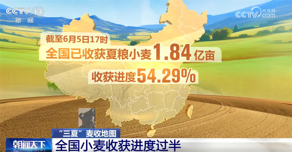 全国小麦收获进度已过半 多地抢收、烘干齐发力守护群众“粮袋子”