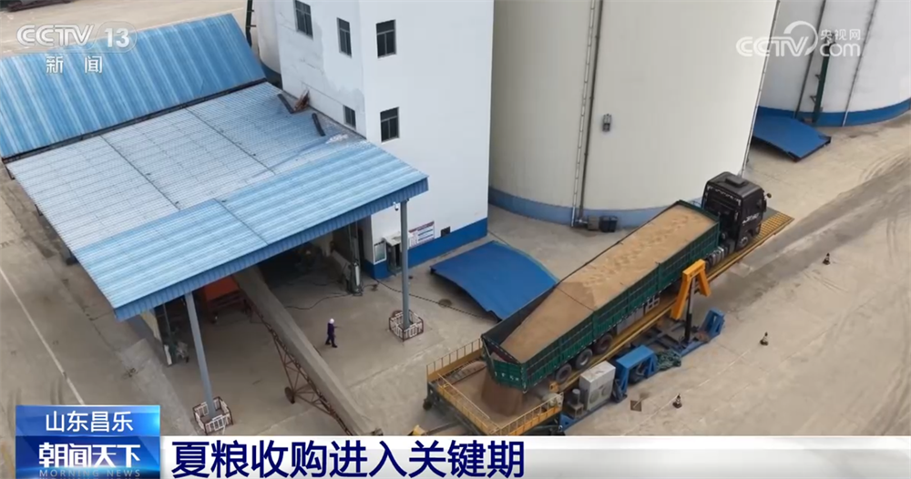 抢收、抢种、收购……从“三夏”麦收地图看夏粮收获好“丰”光