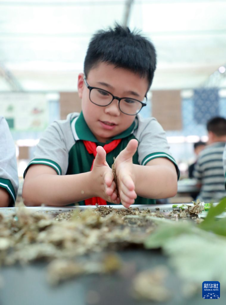 多彩民俗迎端午