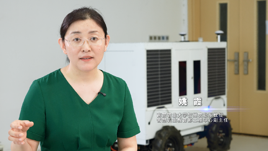 育种周期砍半！这颗农业“超级大脑”有多厉害？