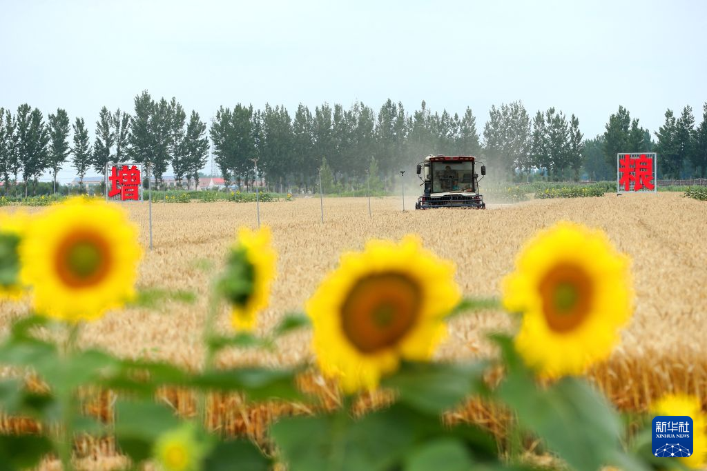全国夏粮产量首次突破3000亿斤