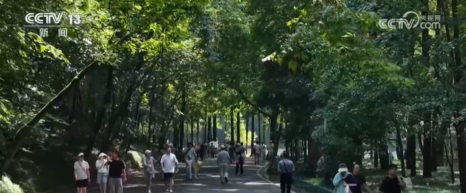 夏日“凉资源”变身消费“热产业” 全天候多业态避暑新体验成文旅“新宠”
