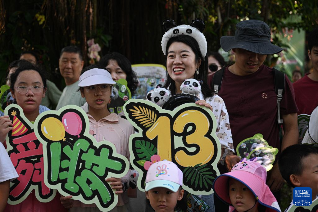 海口:大熊猫兄弟“贡贡”“舜舜”庆生