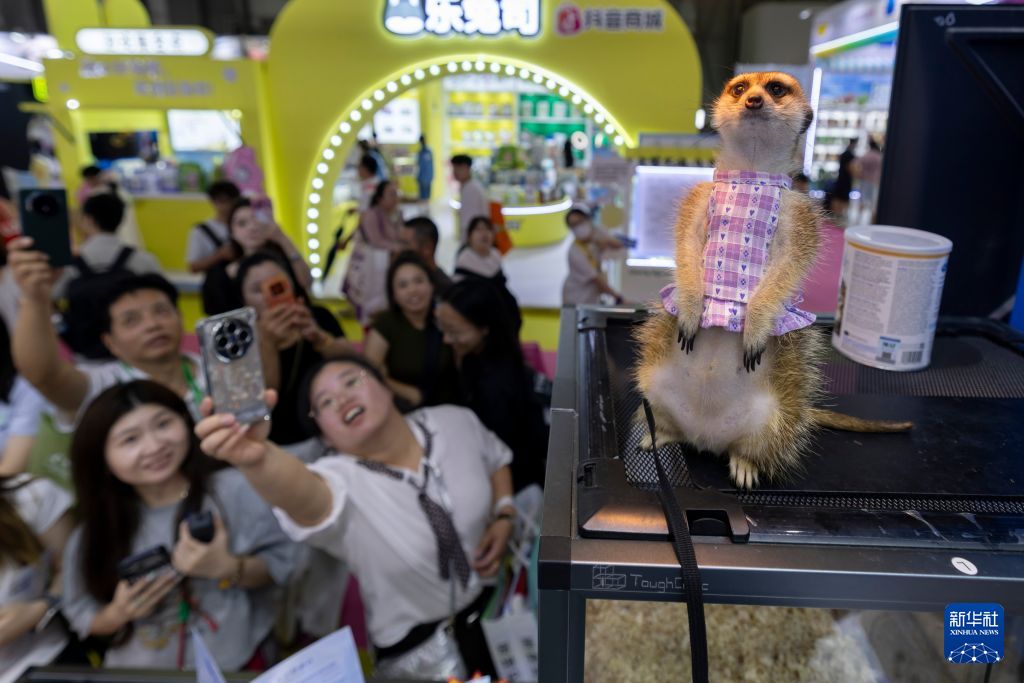 在亚宠展看见宠物消费新活力