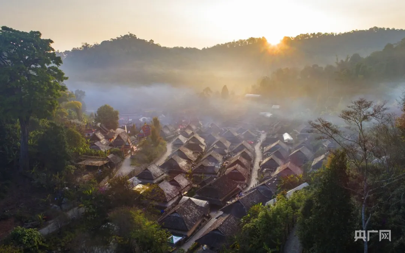 何以中国·千年茶道 | 景迈山:一座世界遗产的“三年之养”