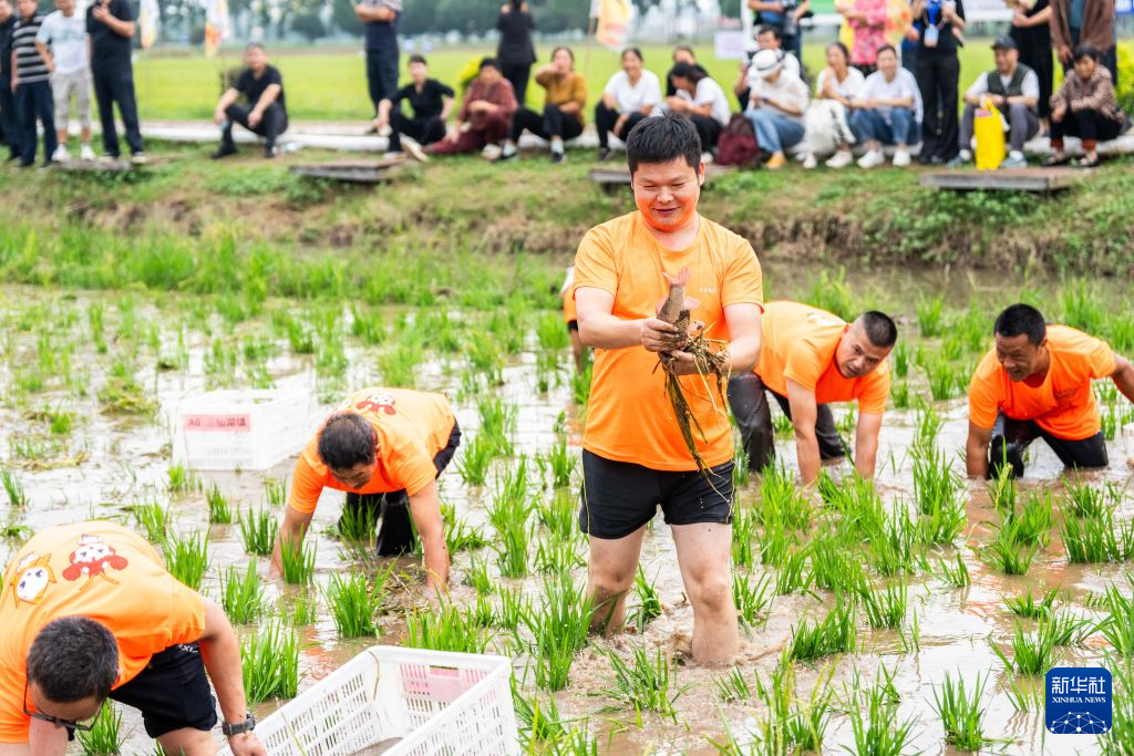 欢庆中国农民丰收节