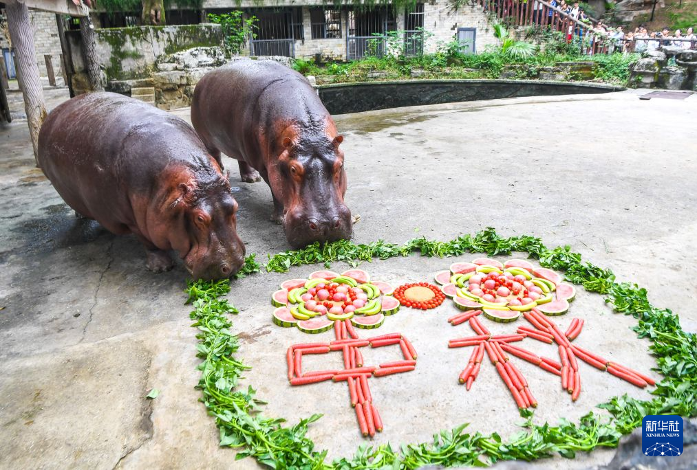 多彩活动过中秋