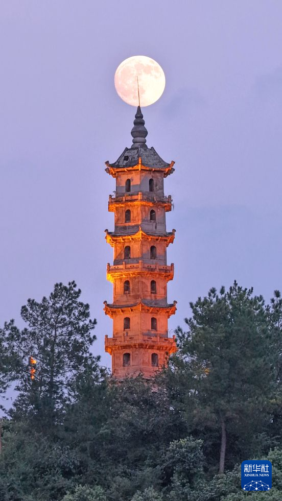 诗意中国丨一轮秋影转金波