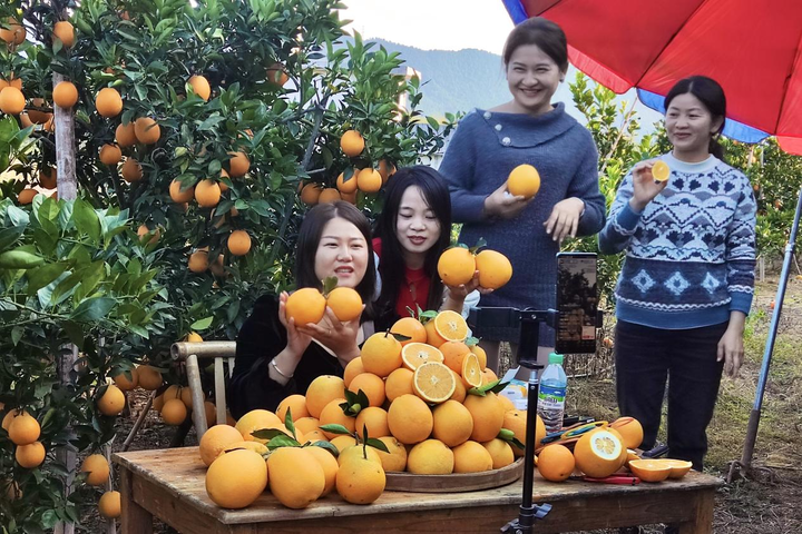 这里是中央苏区!