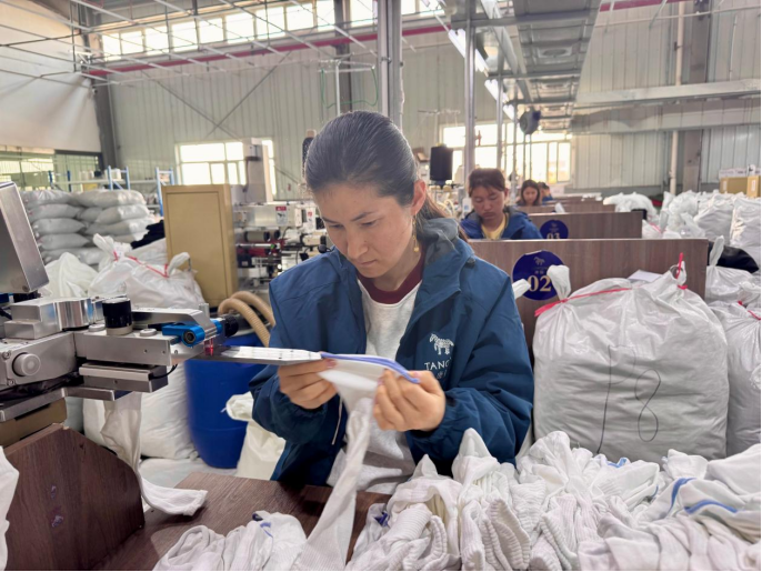 从一朵棉到一双袜——探访新疆棉花全产业链的增值密码 从一朵棉到一双袜——探访新疆棉花全产业链的增值密码