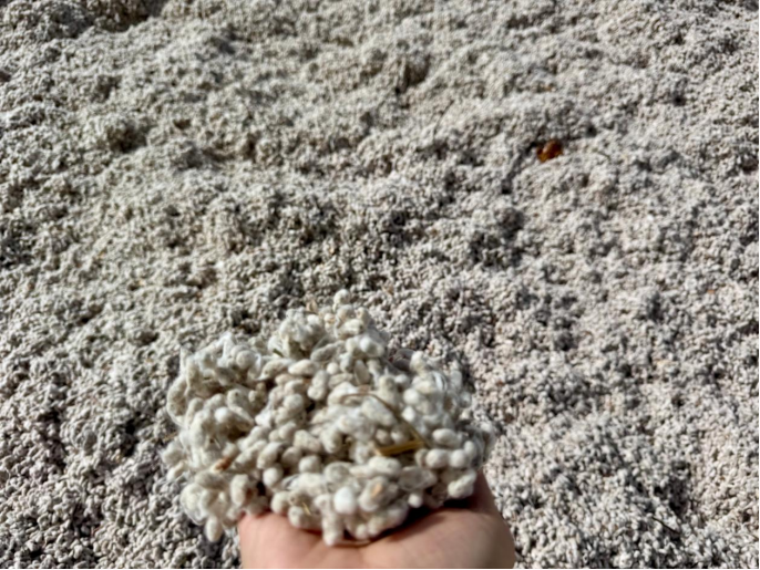 从一朵棉到一双袜——探访新疆棉花全产业链的增值密码 从一朵棉到一双袜——探访新疆棉花全产业链的增值密码