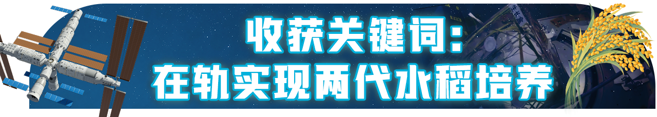 开“新”空间站丨在太空收获又播种 这件事,到底有多重要?