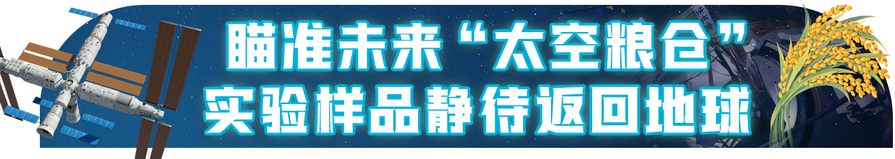 开“新”空间站丨在太空收获又播种 这件事,到底有多重要?
