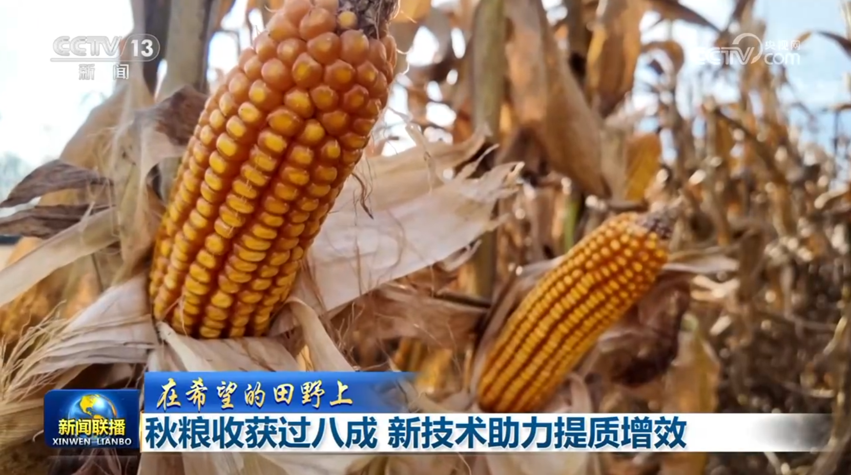 【在希望的田野上】秋粮收获过八成 新技术助力提质增效