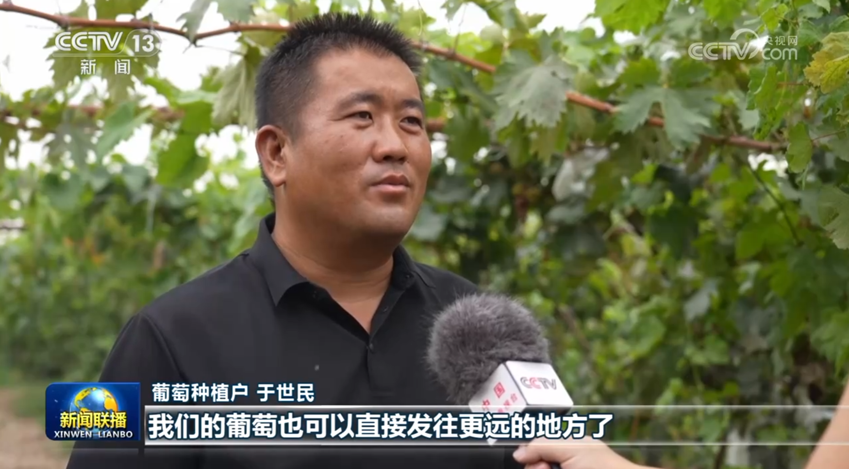 我国铁路物流提质增效步伐加快